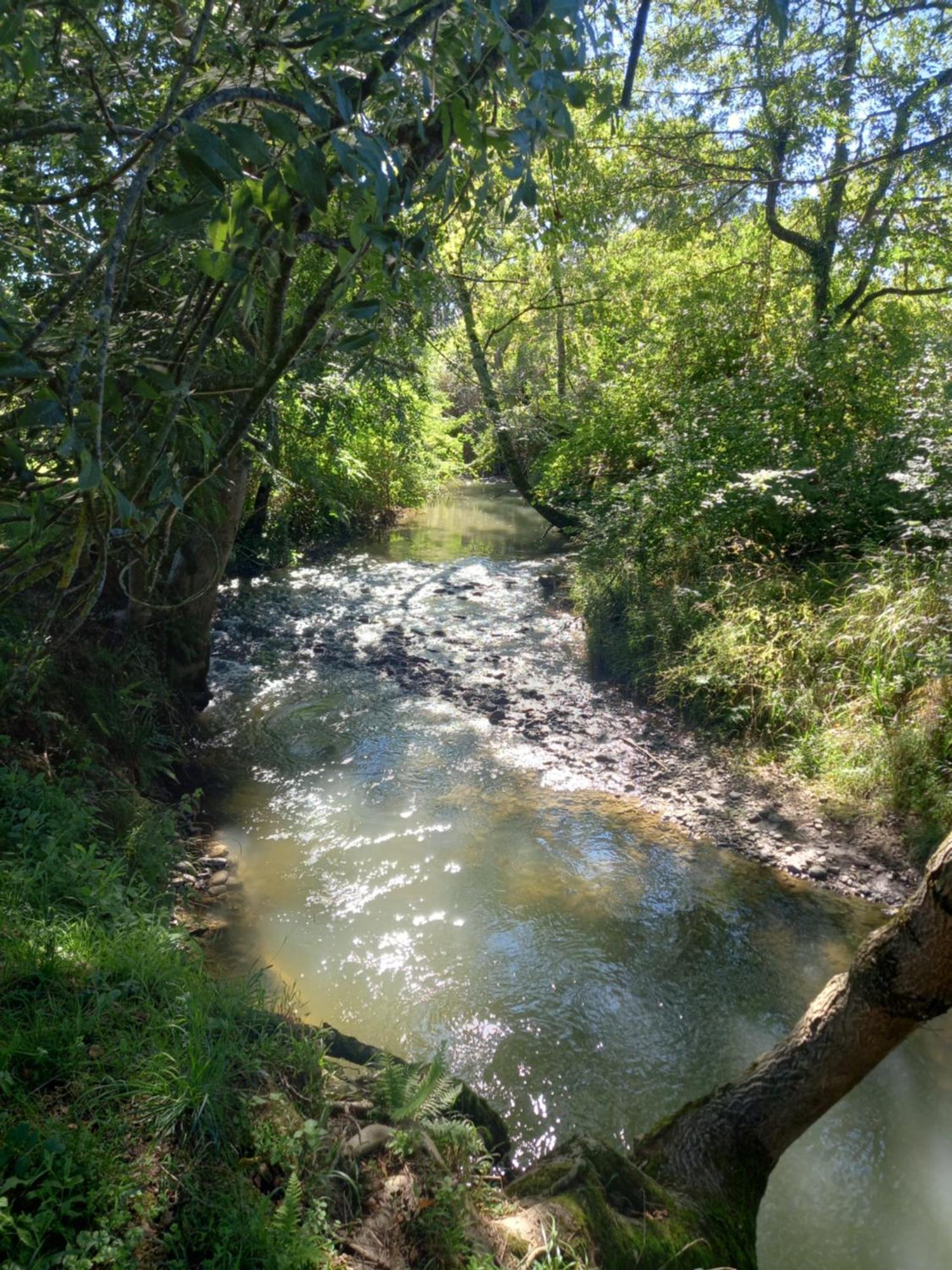 Campuzan L'Oasis Des Pyreneesヴィラ エクステリア 写真